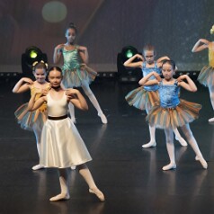 150010-PALAIS-Dim