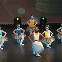 150019-PALAIS-Dim